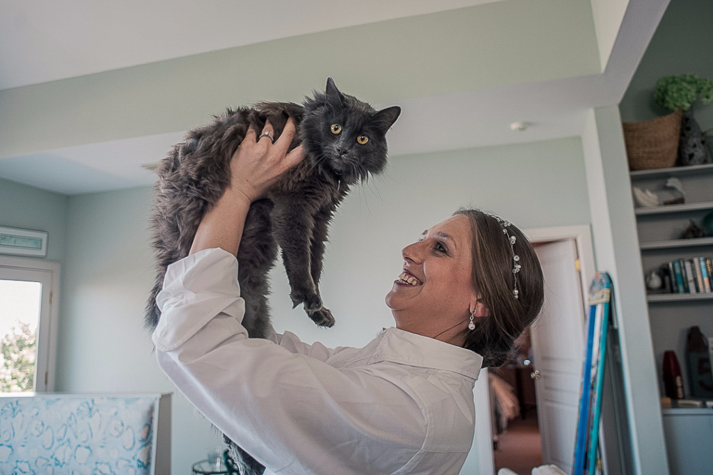 pets on the wedding day